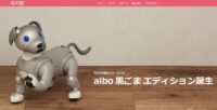 AIBO-1