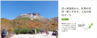 Screenshot_5